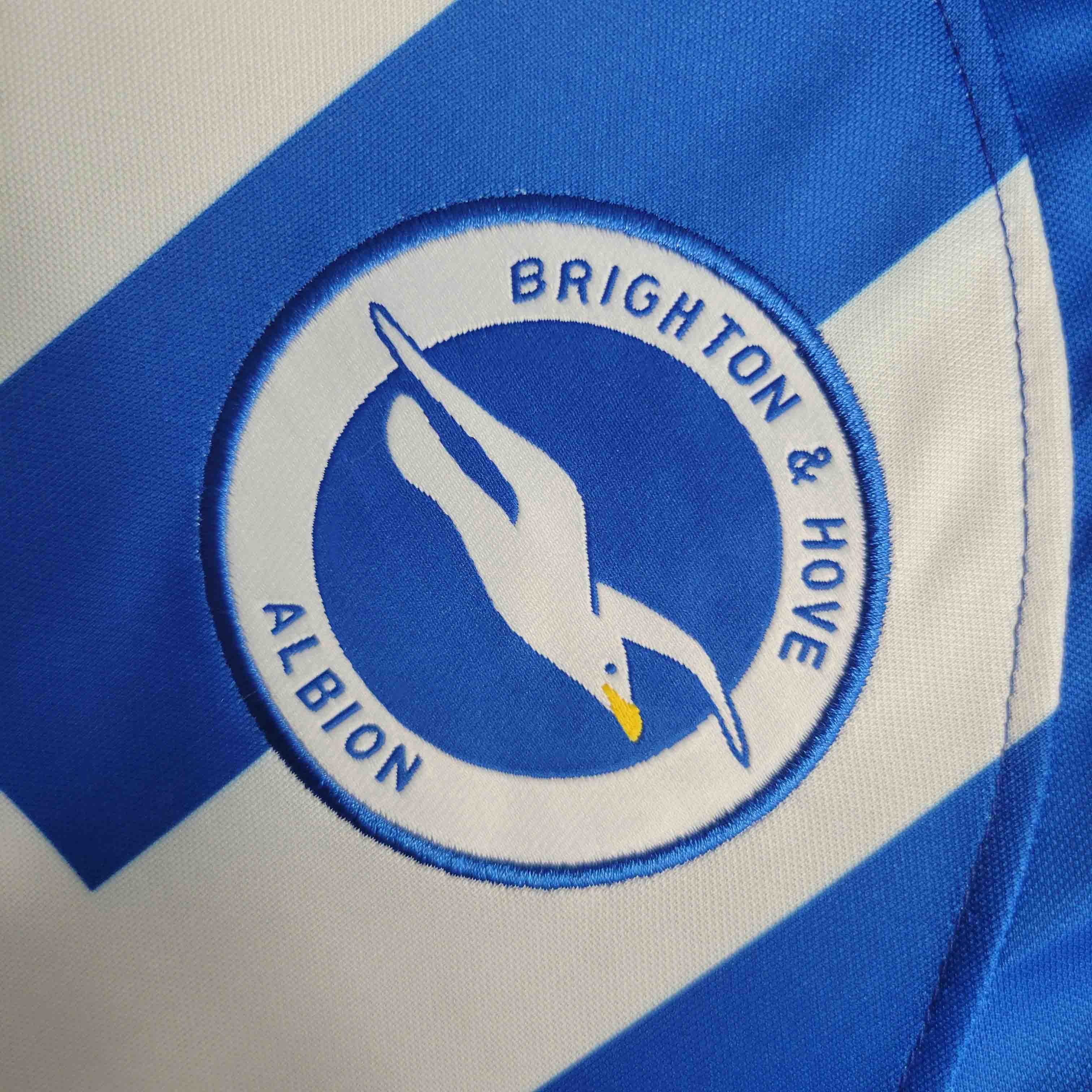 23-24 Brighton & Hove Albion Home Fan Version Jersey - view 9