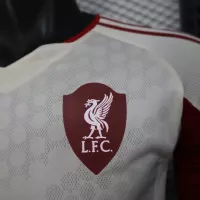 25-26 Liverpool Away Soccer Jersey Player Version Long Sleeve - view 9
