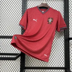25-26 Liverpool Pre-match Soccer Jersey Player Version