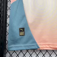 24-25 Manchester City Special Jersey - view 7