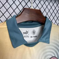 24-25 Manchester City Special Jersey - view 8