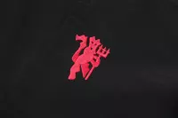 2024-2025 Manchester United Retro Jersey Windbreaker Top+Pants Grey - view 10