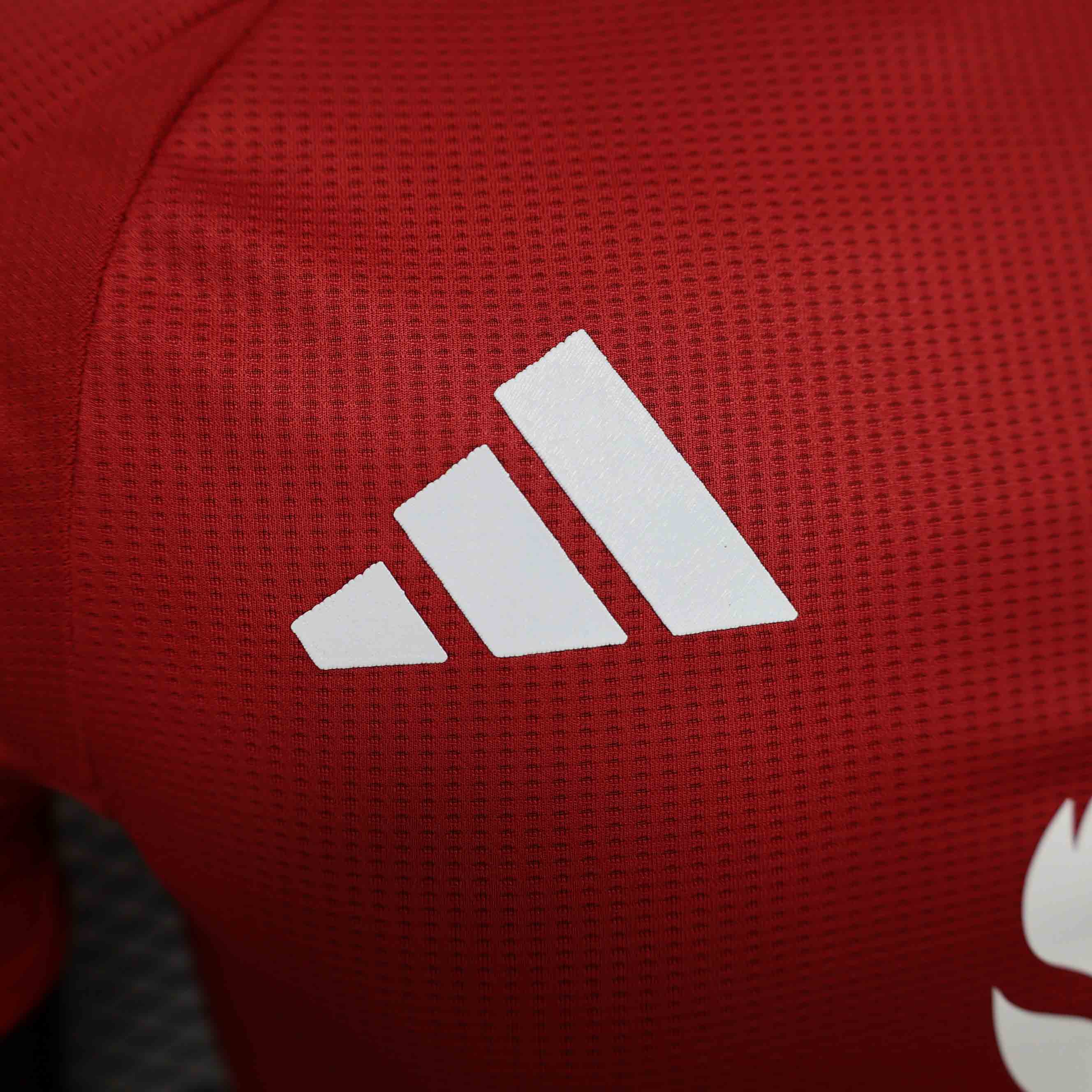 24-25 Manchester United Home Player Version - view 3