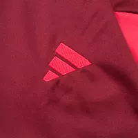 Manchester United Zipper Sweatshirt Kit(Top+Pants) Red 2023/24 - view 12