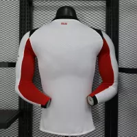 25-26 AC Milan Away Soccer Jersey Player Version Long Sleeve - view 3