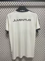 24-25 Juventus Goalkeeper Soccer Jersey - view 3