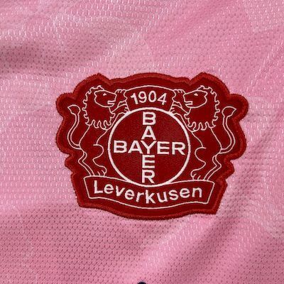 25-26 Bayer 04 Leverkusen Away Soccer Jersey - view 4