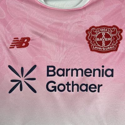 25-26 Bayer 04 Leverkusen Away Soccer Jersey - view 5