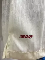 25-26 Bayer 04 Leverkusen Away Soccer Jersey Player Version - view 5