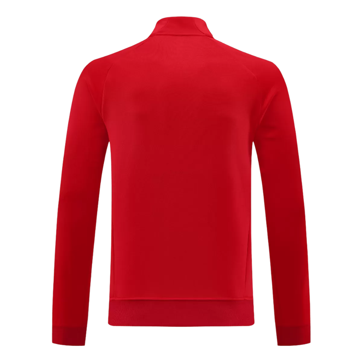 25-26 Bayern Munich Anthem Jacket Kit Red - view 12
