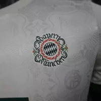 25-26 Bayern Munich Special Football Jersey - view 10