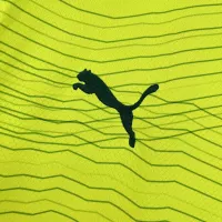 23-24 SE Palmeiras Third Away Jersey Fan Edition - view 5