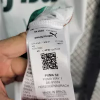 23-24 SE Palmeiras Away Jersey Fan Edition - view 14