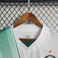 23-24 SE Palmeiras Away Jersey Fan Edition - view 5