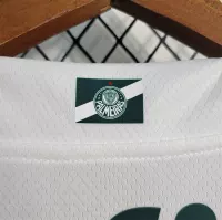 23-24 SE Palmeiras Away Jersey Fan Edition - view 7