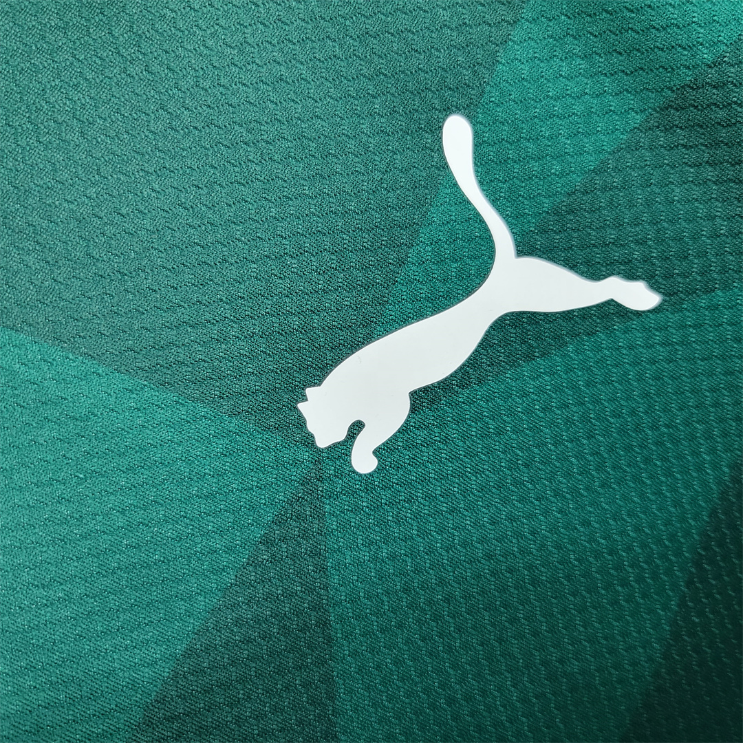 23-24 SE Palmeiras Home Jersey Fan Edition - view 14