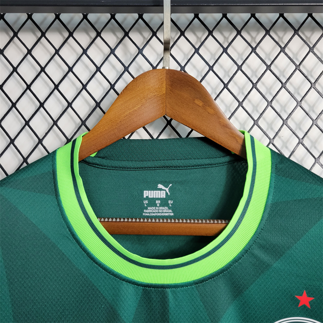 23-24 SE Palmeiras Home Jersey Fan Edition - view 5