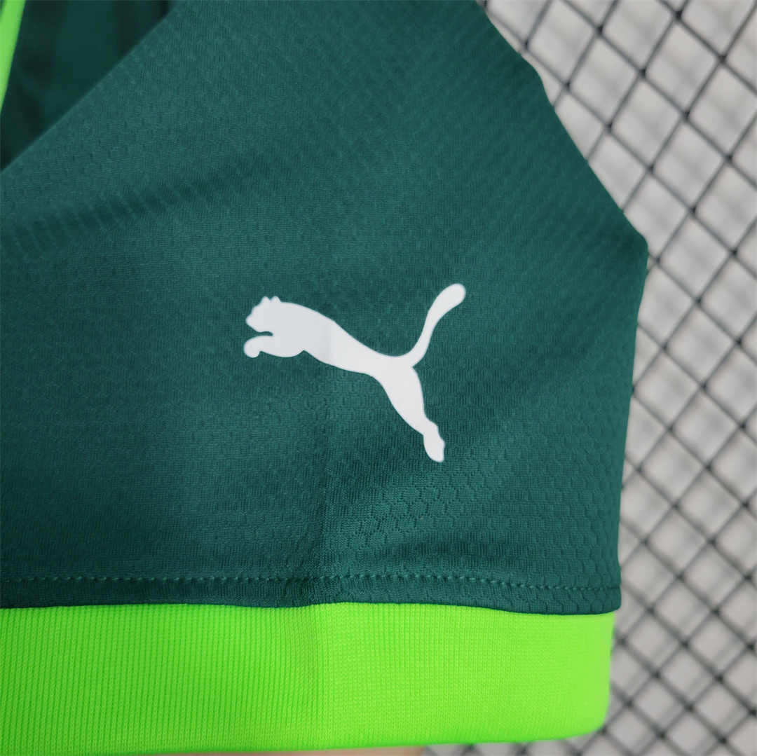 23-24 SE Palmeiras Home Jersey Fan Edition - view 11