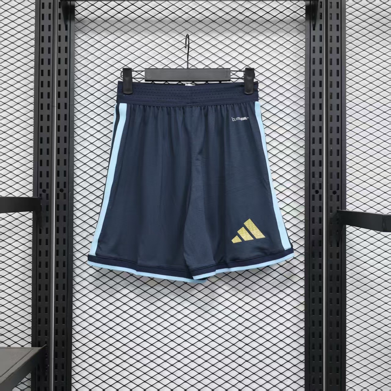 2026 Argentina Home World Cup Shorts Player Version - gallery