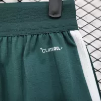 2026 Saudi Arabia Home World Cup Soccer Shorts Player Version - view 8
