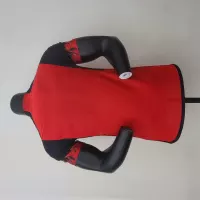 2022 Belgium World Cup Home Player Edition - view 3