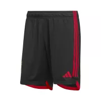 2022 Belgium World Cup Home Whole Kit Jersey+Shorts+Socks - view 8
