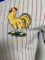 2024 France Euro Cup Away Jersey Player Version - view 5