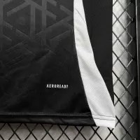 2024 Germany Euro Cup Training  Football Jersey - view 5