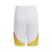 2024 Germany Euro Cup Home Football Kit Jersey+Shorts - view 5