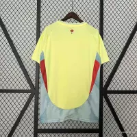 2024 Spain LAMINE YAMAL #19 Euro Cup Away Football Jersey - view 6