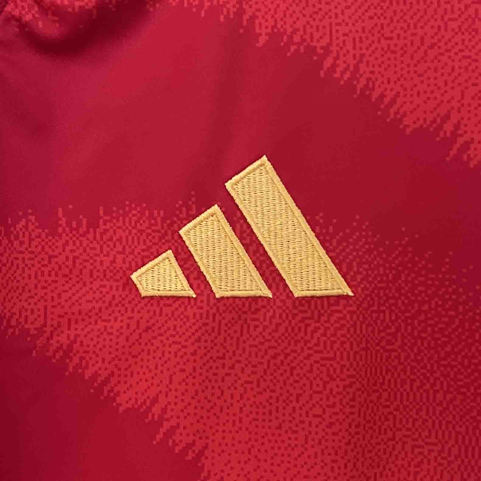 2024 Spain RODRIGO #16 Euro Cup Home Football Jersey - view 10