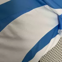 2023/24 Argentina Copa America Home Soccer Jersey - view 4