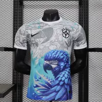 2026 Brazil Special Soccer Jersey Player Version - view 1