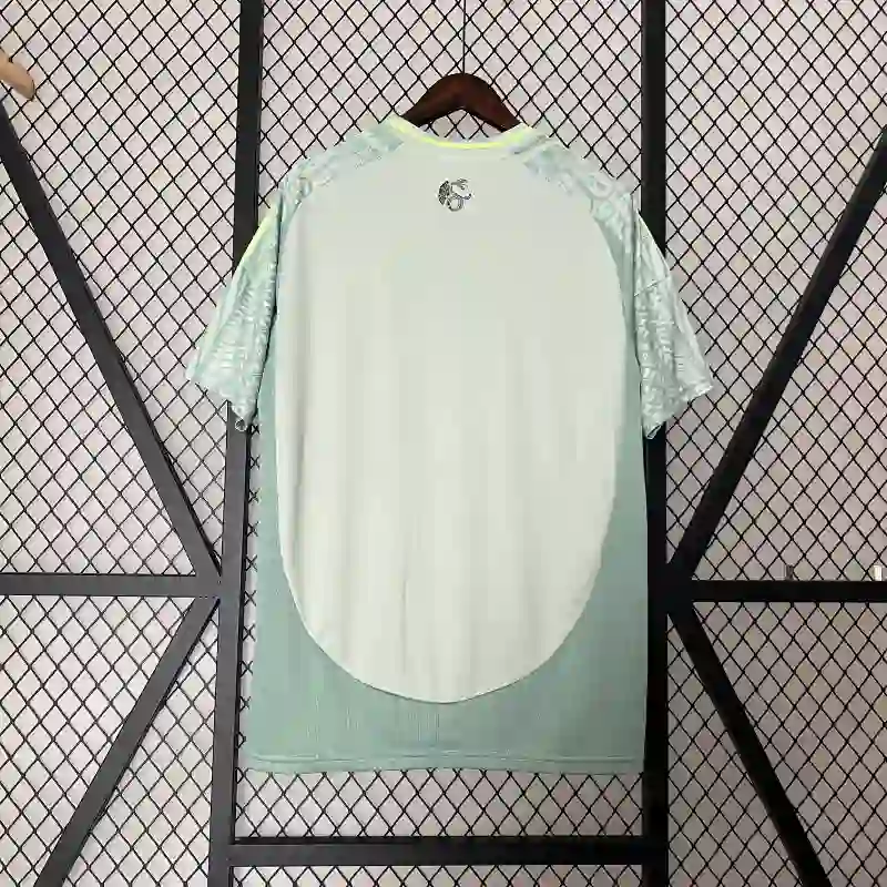 2024 Mexico  Copa America Away Jersey - gallery