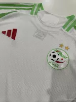 24-25 Algeria Home Soccer Jersey Player Version - view 3