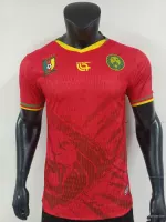 Cameroon Away Jersey - view 1