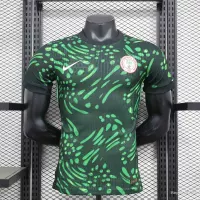 24-25 Nigeria Home Soccer Jersey Player Version - view 1