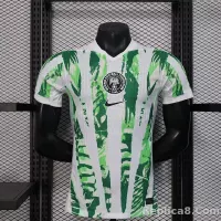 25-26 Nigeria Home Soccer Jersey Player Version - view 1