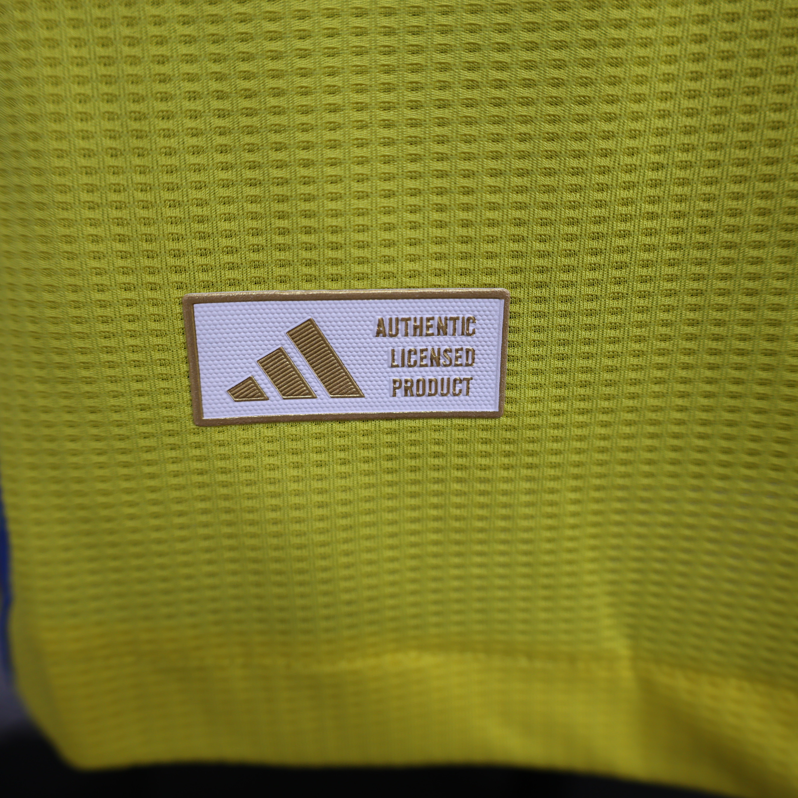 24-25 Al-Nassr Victory Home Player Version - gallery